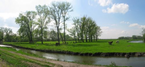 Риболовля на воді у санаторії «Медобори» в Тернопільській області