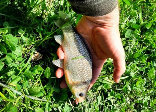 Рыбалка на водоёме в с. Островерховка
