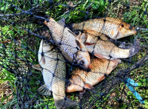 Рыбалка на водоёме в с. Островерховка