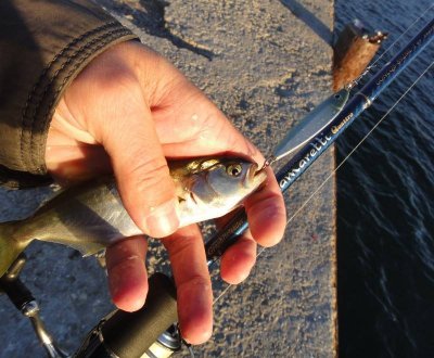 Рыбалка в селе Скалистое в Крыму