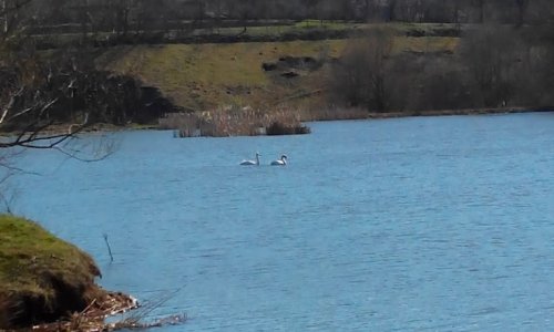 Водоем в селе Покутинцы Виньковецкого р-на