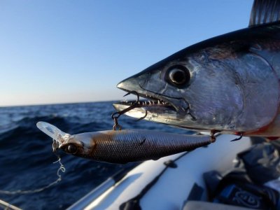 Рыбалка на водоеме -  Белая скала