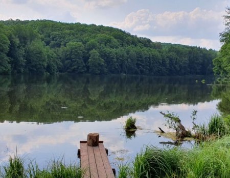 Рыбалка на Шелеховском озере