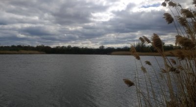 Рибалка на Якимівських ставках