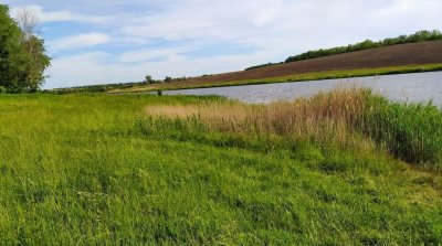 Рибалка на Якимівських ставках