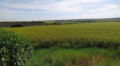 Рибалка на Якимівських ставках