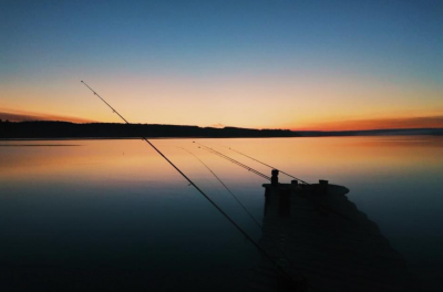 Риболовля на базу відпочинку «GOL&Wood» у селі Степашки, Вінницької області