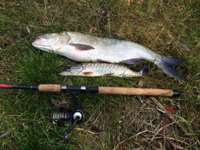 Рыбалка на базе «Благовестник»