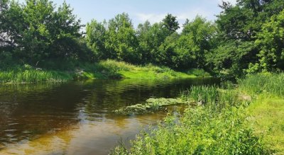 Рыбалка на базе «Буймеровка»