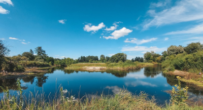 Рыбалка на базе «Буймеровка»
