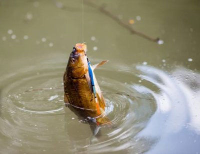 Рыбалка на базе отдыха «Бухта Викингов»