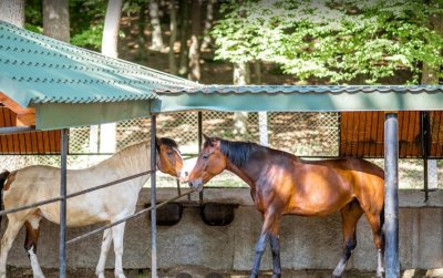 Рыбалка на базе отдыха «Бухта Викингов»