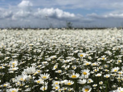 Рыбалка на базе отдыха «Мисливська Садиба» 
