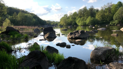 Риболовля на базі відпочинку «Печерський Водограй» у Вінницькій області