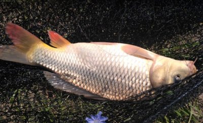 Рыбалка на базе отдыха «Рыбацкий стан»