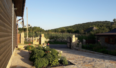 Риболовля на базі відпочинку «Стоун Парк Eco-Resort»