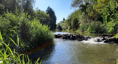 Риболовля на базі відпочинку «Стоун Парк Eco-Resort»