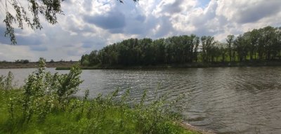 Рыбалка на базе отдыха: Веселая роща