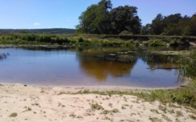 IРыбалка на базе 