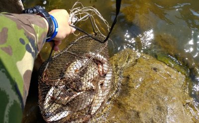Риболовля на Карачунівському водосховищі