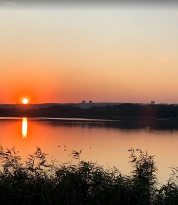 Рыбалка на Медвежанском пруду «Медвежка»