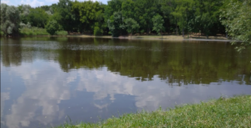 Рибалка на Михайлівському ставку Вільнянський р-н. Запорізька обл.