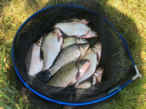 Рибалка на Михайлівському ставку Вільнянський р-н. Запорізька обл.