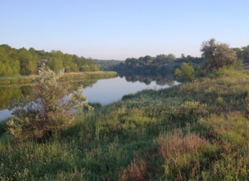 Рибалка на Михайлівському ставку Вільнянський р-н. Запорізька обл.