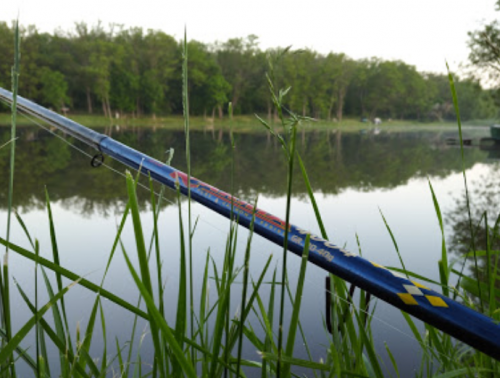 Рибалка на Михайлівському ставку Вільнянський р-н. Запорізька обл.