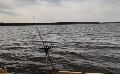 Рыбалка на Печенежском рыбхозе 