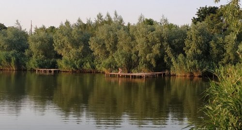 Рыбалка на Петродолинском ставке 