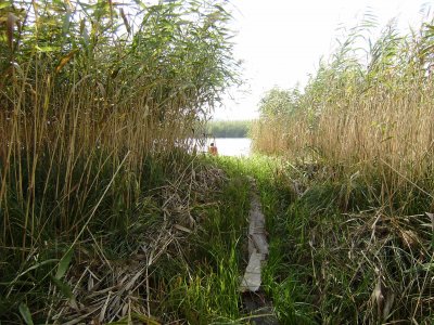 Рыбалка на реке Ингул в Николаевской области