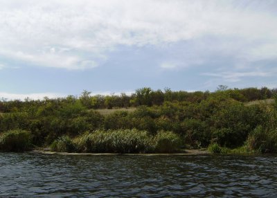 Рыбалка на реке Ингул в Николаевской области