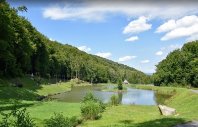 Рибалка на Рибній Фермі у «Воєводиному»