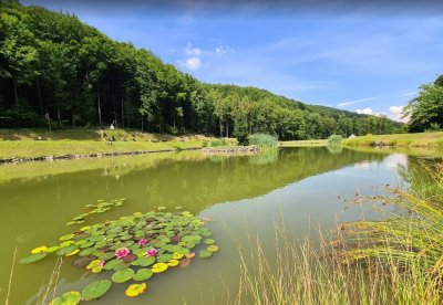 Рибалка на Рибній Фермі у «Воєводиному»