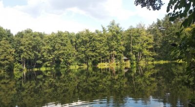 Рыбалка на Шелеховском озере