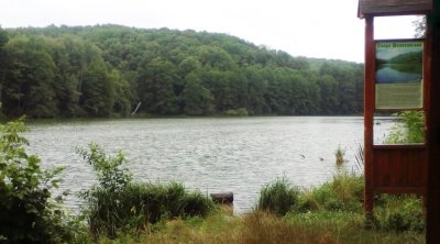 Рыбалка на Шелеховском озере