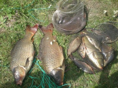 Рыбалка на ставке «Пан Карась»