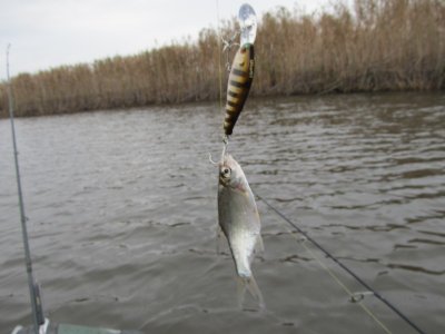 Рыбалка на ставке «Пан Карась»