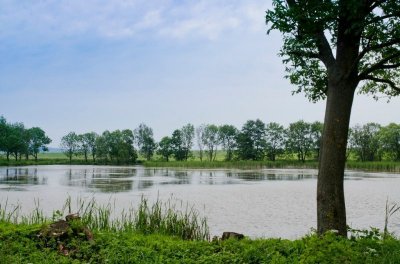 Рыбалка на ставке «Пан Карась»0160930-12968-me8khb20160930-12968-1d1pyax