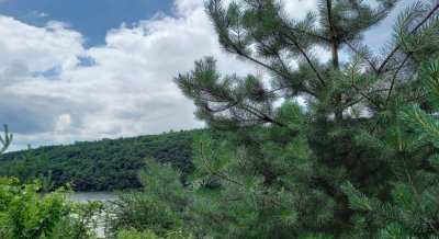 Рыбалка в доме отдыха «RELAX»