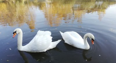 Рыбалка в «Рыбацкой деревне» - Симферополь