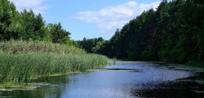 Рыбалка в селе Патриотовка - Сумская область