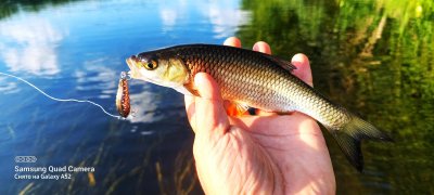 Рыбалка в селе Патриотовка - Сумская область