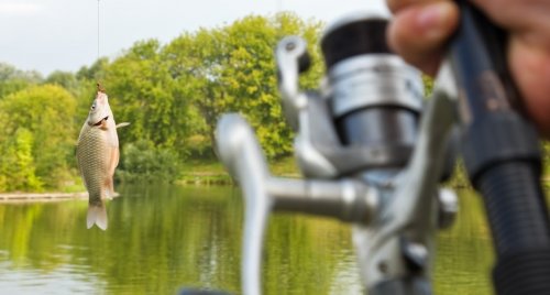 Рыбалка в селе Родники «ДОБРАПРУД» 