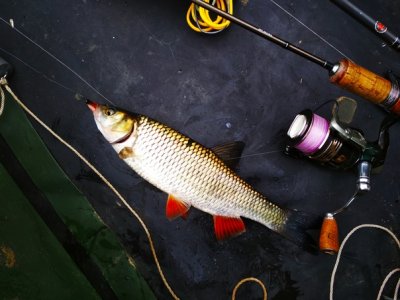 Рыбалка в селе Терешковка 