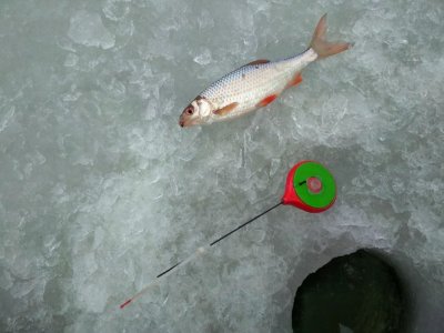 Рыбалка в селе Терешковка 