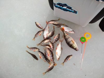 Рыбалка в селе Терешковка 