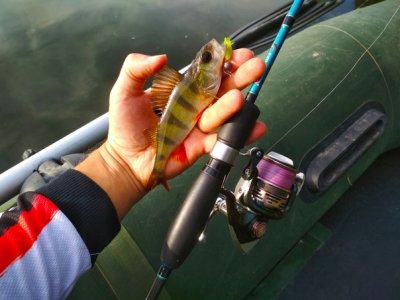 Рыбалка в селе Терешковка 