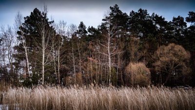 Рибальська база «Озеро» у Львівській області